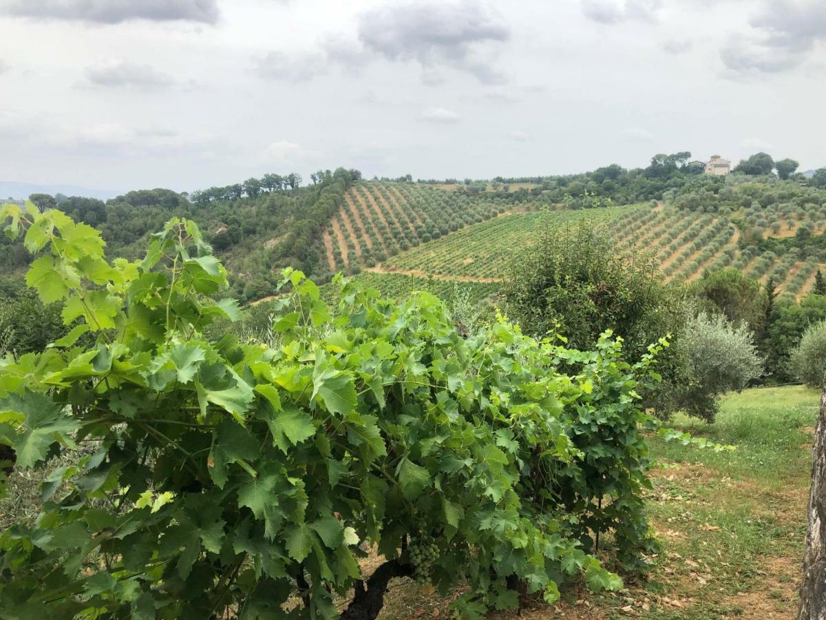 La Valle Di Anna 拉斯特拉·阿塞格纳 外观 照片